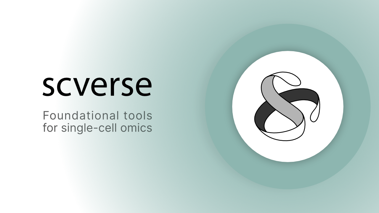 scverse logo - Example slide